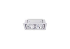 Įleidžiamas šviestuvas DOWNLIGHT WHITE II